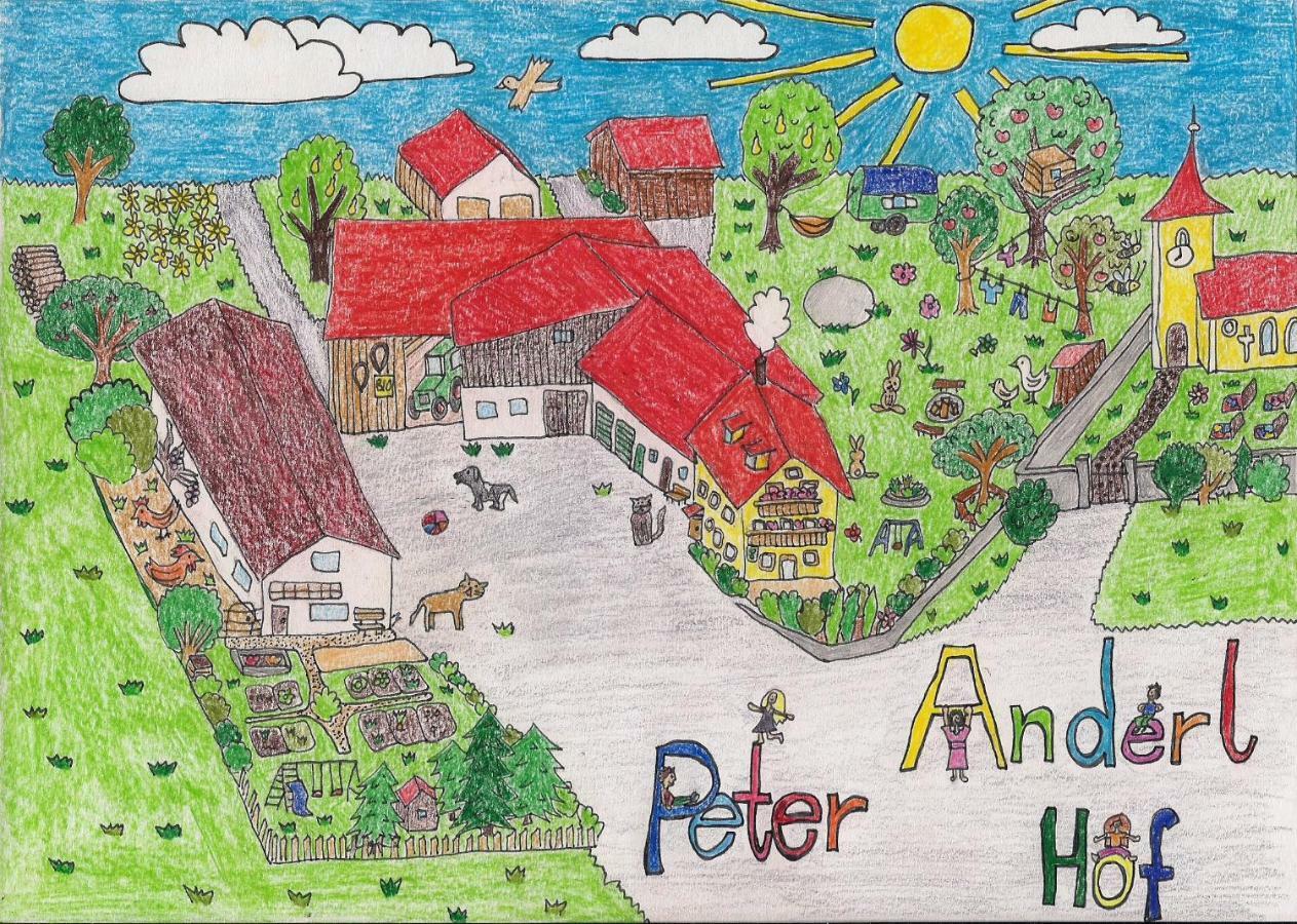 Pfreimd Ferienwohnung Biobauernhof Peter Anderl Hof מראה חיצוני תמונה